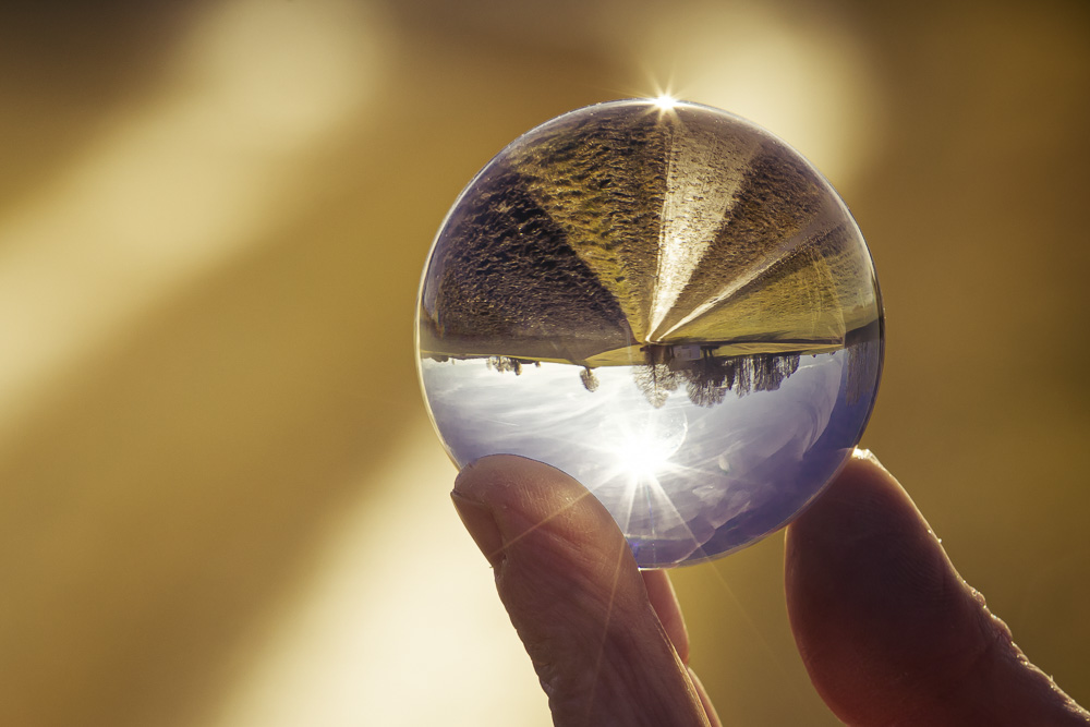 Platz 11 Anton Kienle